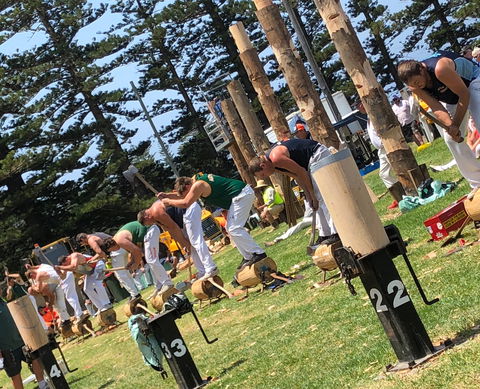 Kiama Show - Accommodation Search 1