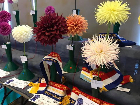 Kiama Show - Accommodation Search 2
