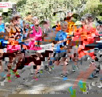 MAAS Group Dubbo Stampede Running Festival - Accommodation Search