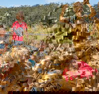 Mini Muddies Obstacle Challenge at Bunnamagoo Estate - Accommodation Search