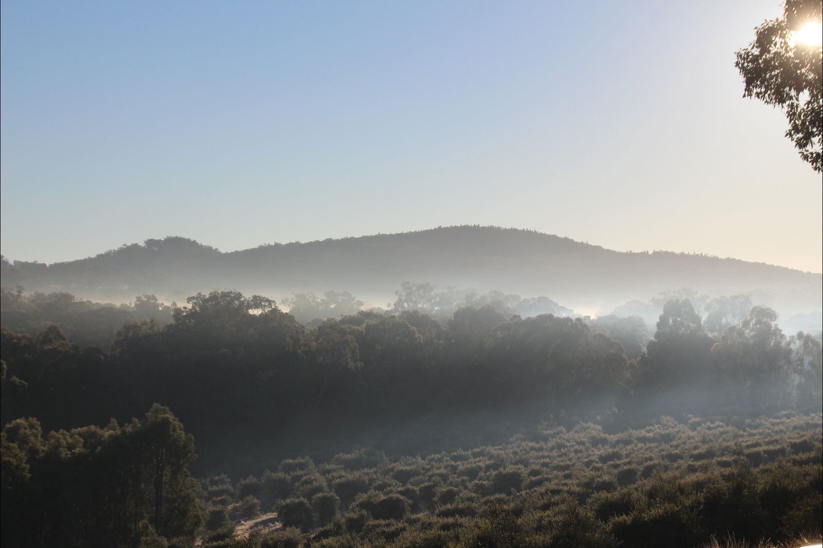 Buckaroo NSW Accommodation Search