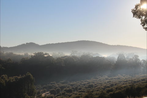 Mudgeeque - Accommodation Search 0