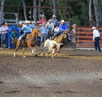 North Queensland Elite Rodeo - Accommodation Search