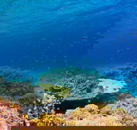 Recovery of the Great Barrier Reef - Accommodation Search