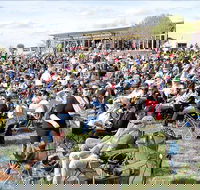 Riverfest Food Wine and Music Festival - Accommodation Search
