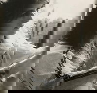 Shimmering The Mona Hessing Tribute Project - Accommodation Search