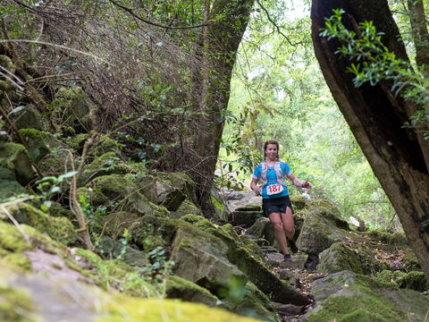 Summit Shoalhaven - Accommodation Search 2