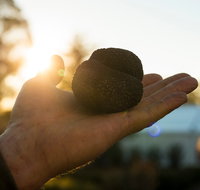 The Truffle Festival - Canberra Region - Accommodation Search