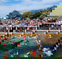 The Crescent Head Santa Surf - Accommodation Search