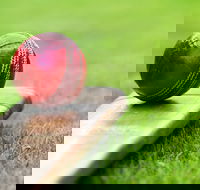 Under 13 14 15 Cricket Youth Championships - Accommodation Search