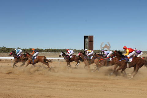 Annual Prairie Races - Accommodation Search 1