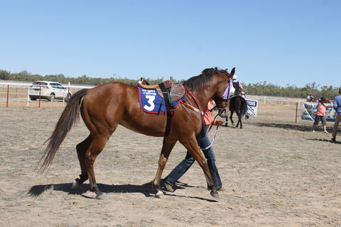 Annual Prairie Races - Accommodation Search 2