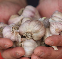 Armidale Farmers' Market - Accommodation Search