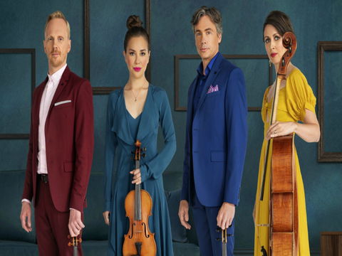 Australian String Quartet Dungog Weekend Of Music - Accommodation Search 0