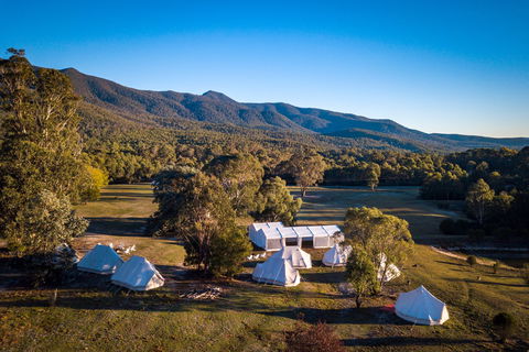A Wild Night Out - Spring - Accommodation Search 5