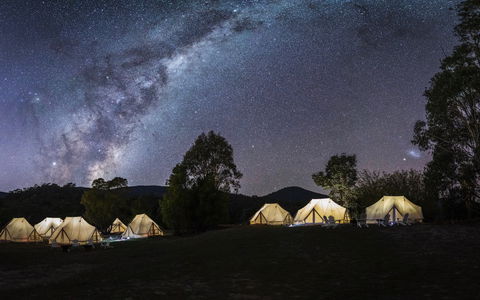 A Wild Night Out - Spring - Accommodation Search 6