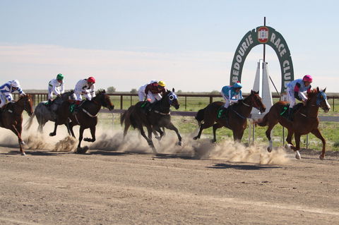 Bedourie Races And Rodeo - Accommodation Search 0