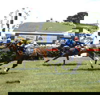 Bong Bong Picnic Races - Accommodation Search