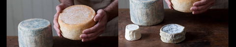 Cheese Making Basics Class - Accommodation Search 0