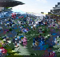 Craft Beer Sunshine Coast Festival - Accommodation Search