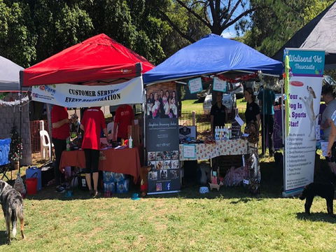 Dogs In The Park Shell Harbour - Accommodation Search 0