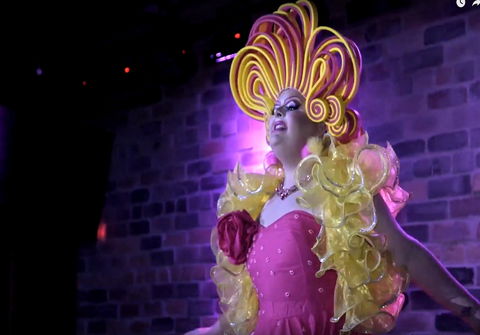 Dragalicious At The Avenue - Accommodation Search 0