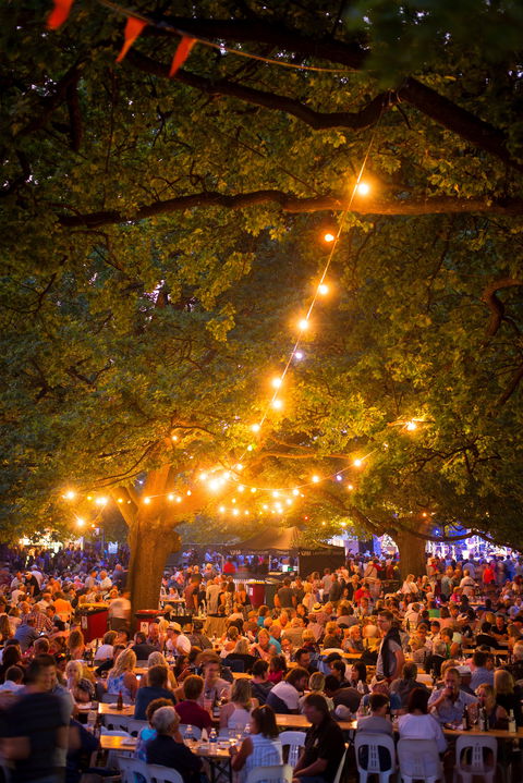 Festivale - Accommodation Search 0