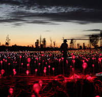 Field of Light Uluru - Accommodation Search