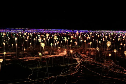 Field Of Light Uluru - Accommodation Search 1