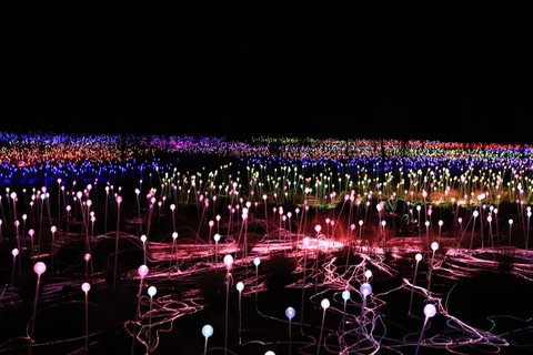 Field Of Light Uluru - Accommodation Search 2