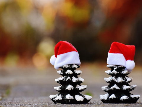Glenmore Park Christmas Market - Accommodation Search 0