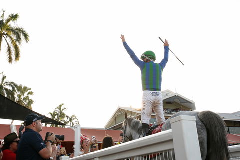 Great Northern Darwin Cup Carnival - Accommodation Search 1