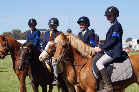 Hay Agricultural Show - Accommodation Search 0