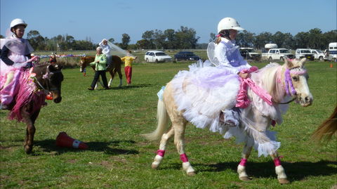 Hay Agricultural Show - Accommodation Search 1