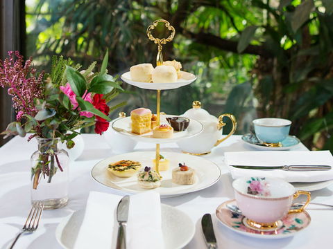 High Tea At Melbourne Zoo - Accommodation Search 0