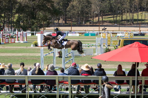 Jumping@Willinga - Accommodation Search 0