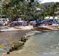 Lions Airlie Beach Community Markets - Accommodation Search