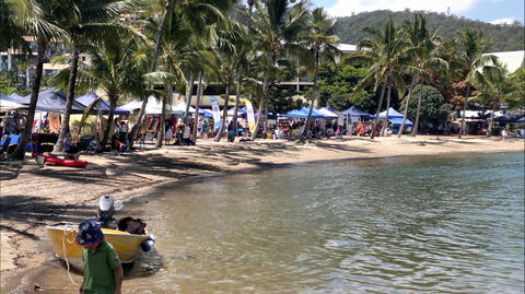 Lions Airlie Beach Community Markets - Accommodation Search 0