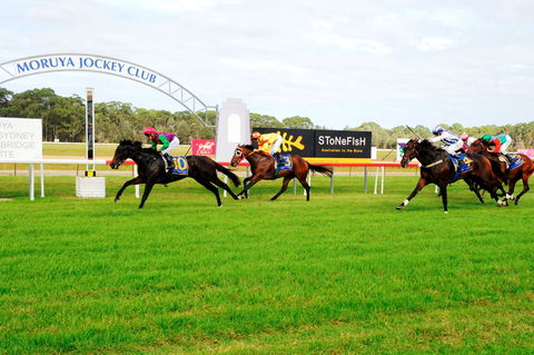 Moruya Cup - Accommodation Search 2