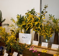 Pomonal Native Flower Show - Accommodation Search