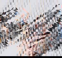 Pulse Perspectives - Virtual Exhibition - Accommodation Search