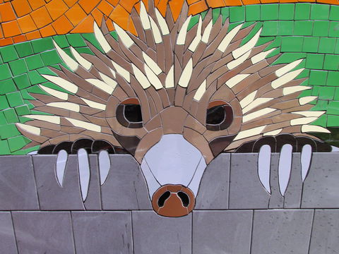 SALA 2020 - Colour Our World - Accommodation Search 0