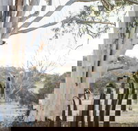 Sculptures in the Garden - Accommodation Search