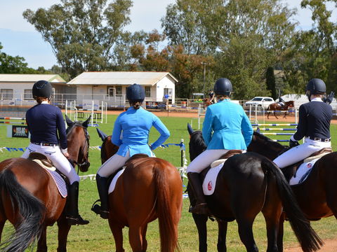The Gunnedah Show - Accommodation Search 2