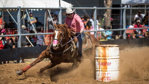 The Gulf Country Frontier Days Festival - Accommodation Search 2