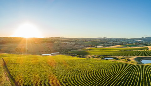Wine And Food At Altitude - Accommodation Search 0