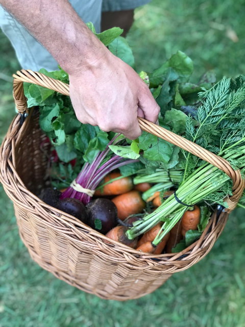 Orange Farmers Market - Accommodation Search 0