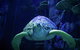Sydney's Aquarium - thumb 0