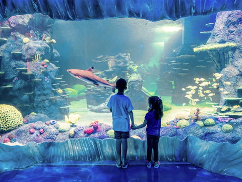 Sydney's Aquarium - Accommodation Search 1
