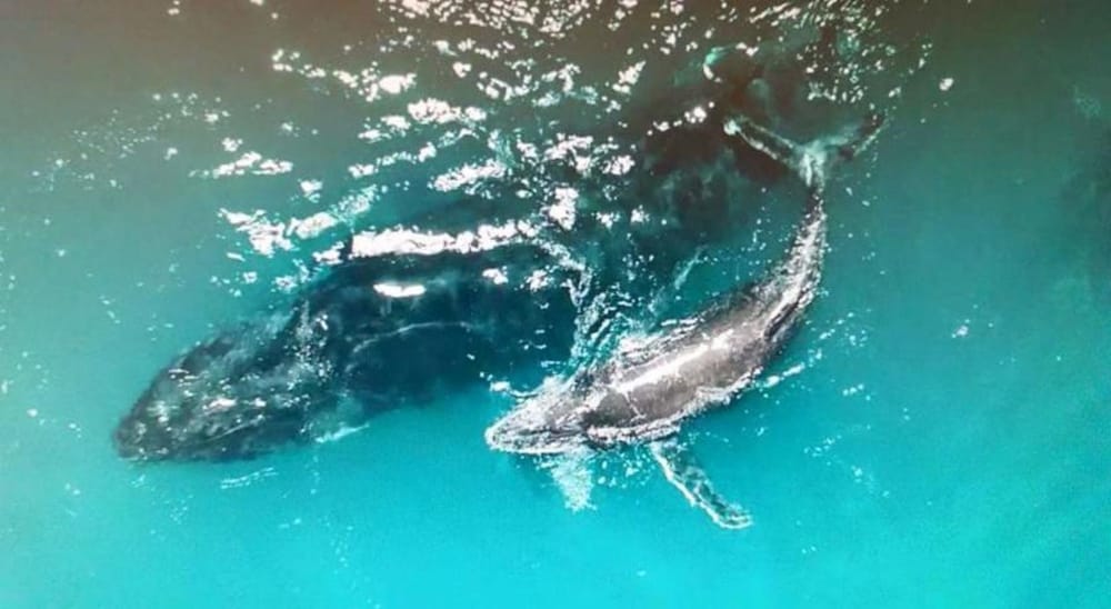 Exmouth WA Accommodation Search